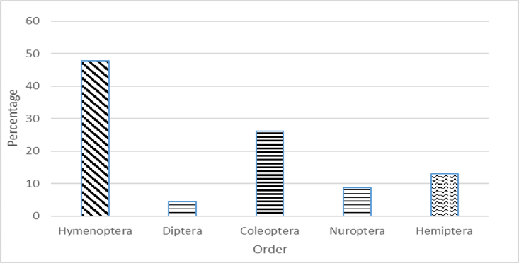 Figure 3: