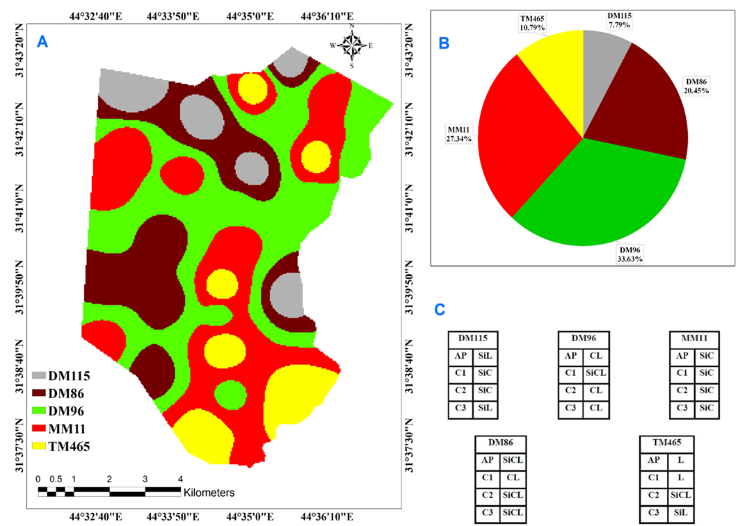 Figure 2: