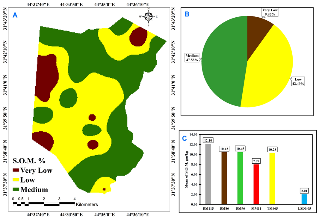 Figure 6: