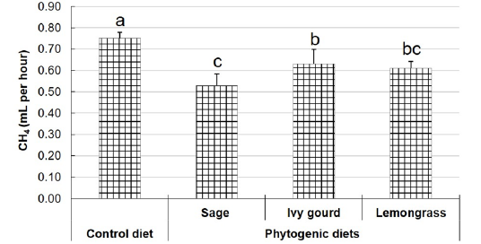 Figure 2: