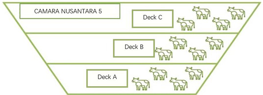 Figure 2: