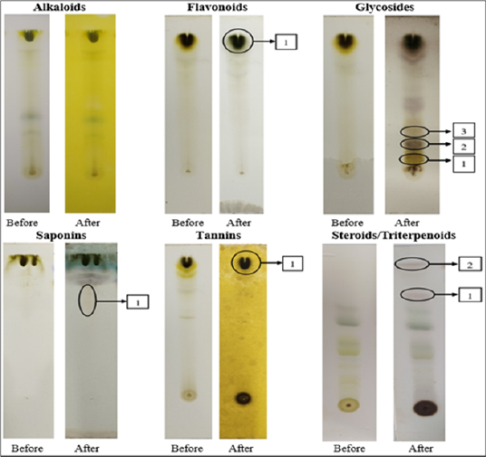 Figure 2: