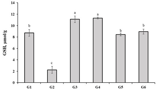 Figure 2: