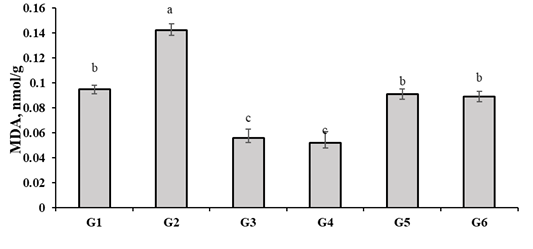 Figure 1: