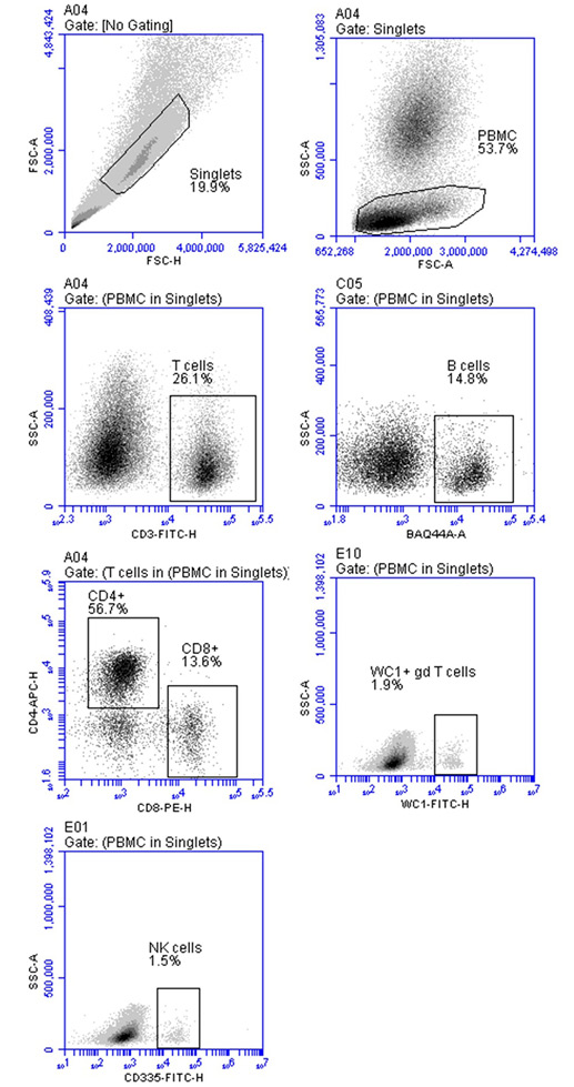 Figure 2: