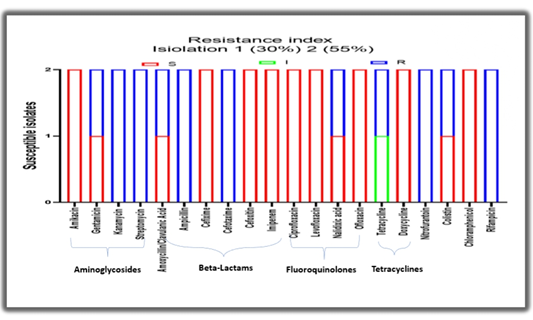 Figure 3: