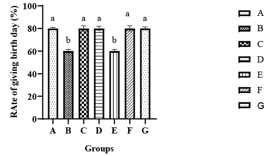 Figure 3:
