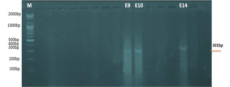 Figure 8: