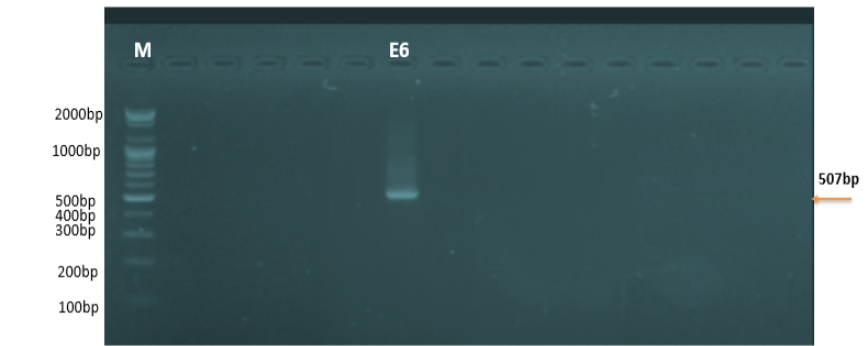 Figure 9: