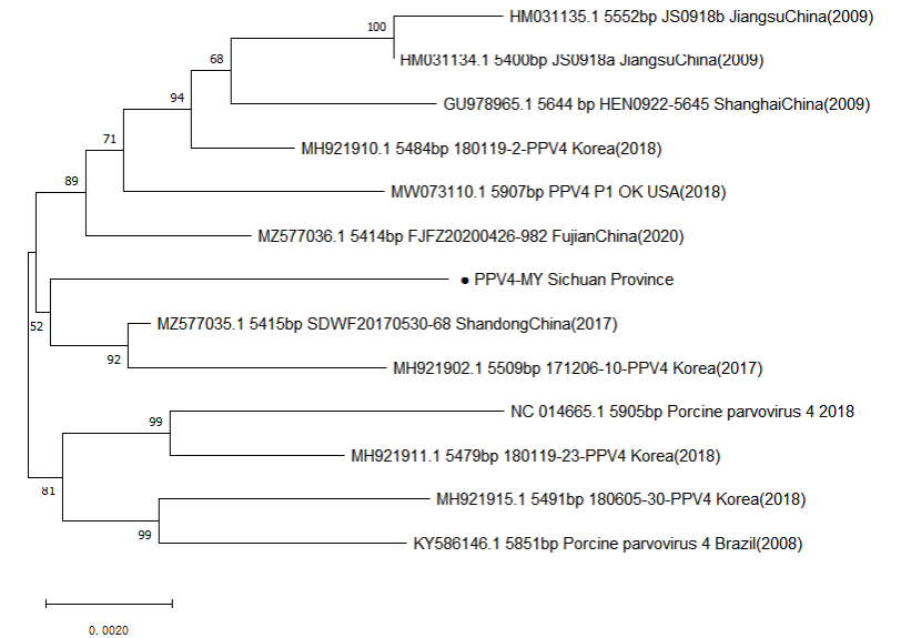 Fig. 3.
