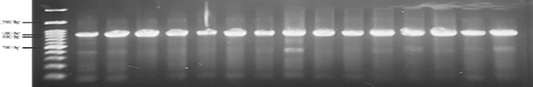 Figure 1: