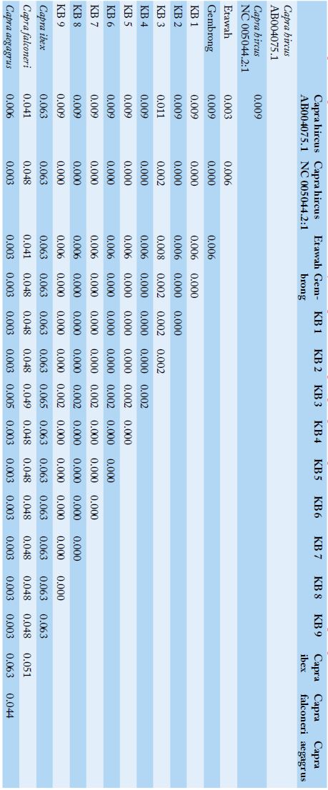 Table 3: