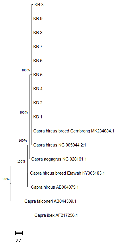 Figure 2: