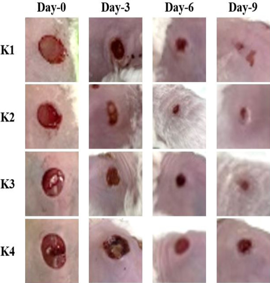Figure 1: