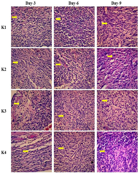 Figure 2: