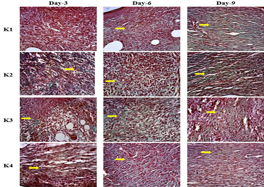 Figure 3: