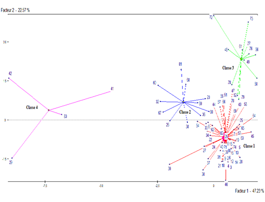 Figure 3: