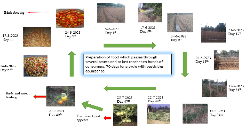 Figure 3: