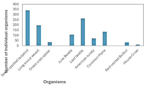 Figure 4: