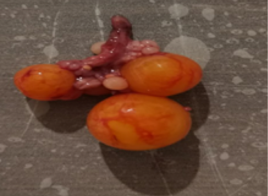 Figure 2: