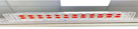 Figure 9:
