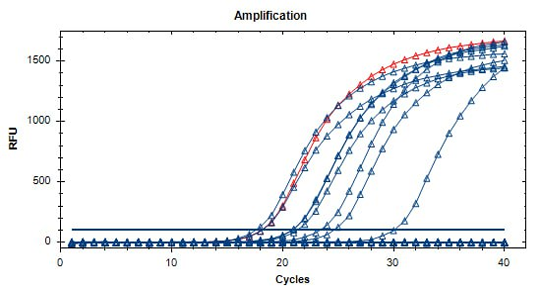 Figure 11: