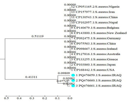 Figure 4: