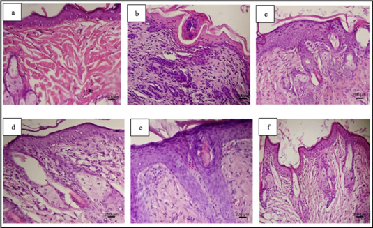 Figure 4: