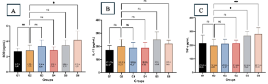 Figure 5: