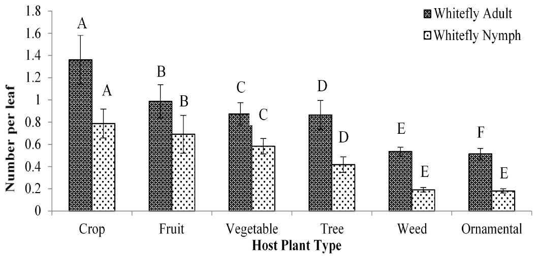 Figure 3: