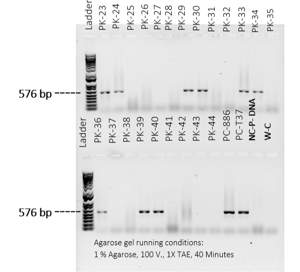 Figure 7: