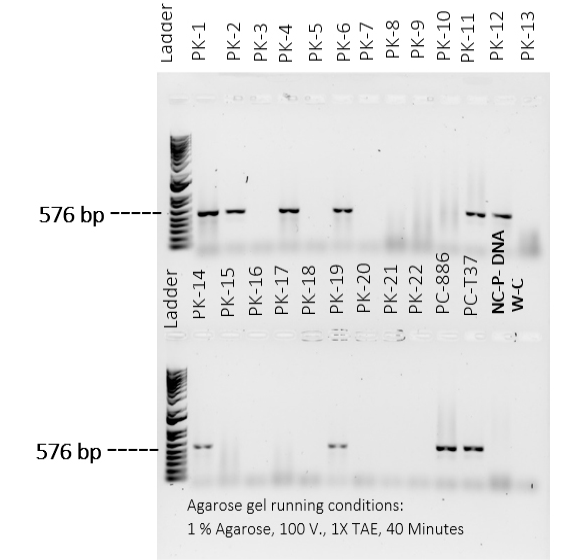 Figure 6: