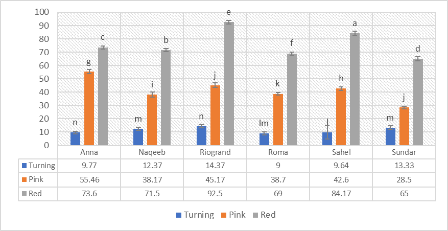 Figure 5: