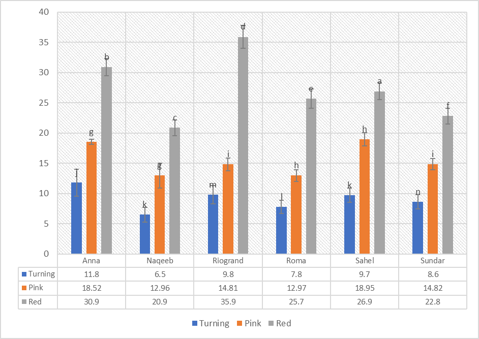 Figure 3: