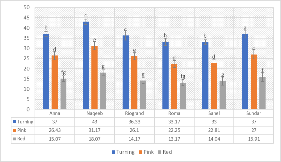 Figure 4: