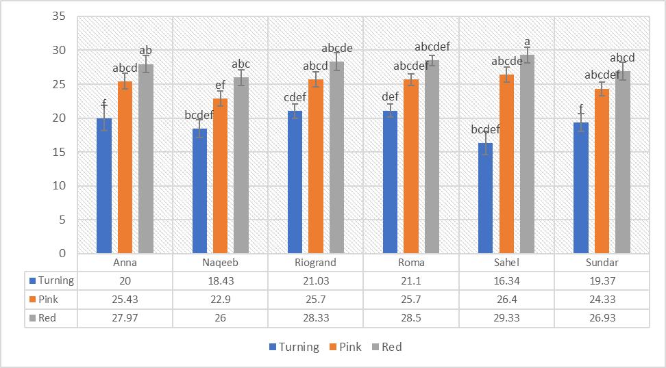 Figure 6: