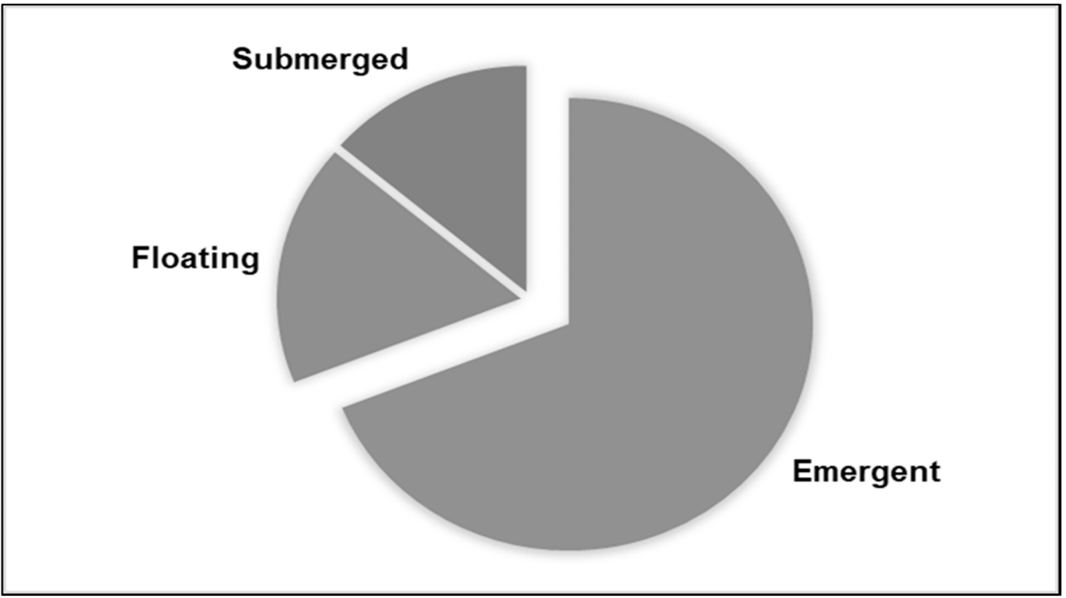 Figure 5: