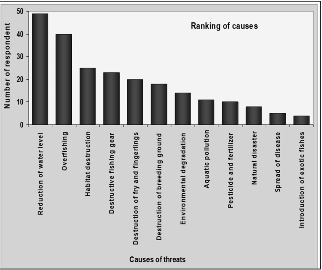 Figure 4: