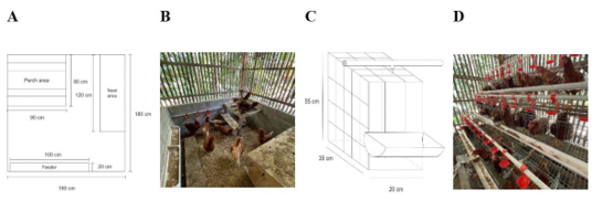 Figure 2:
