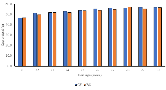 Figure 7: