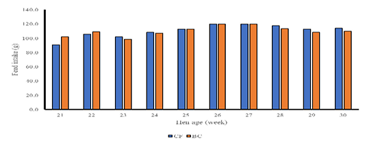 Figure 4: