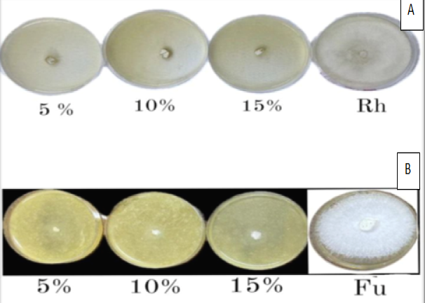 Figure 3:
