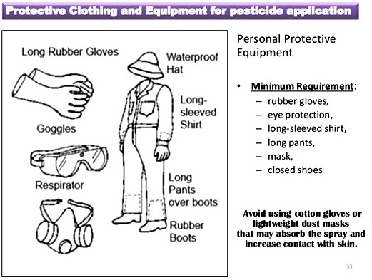 Figure 4: