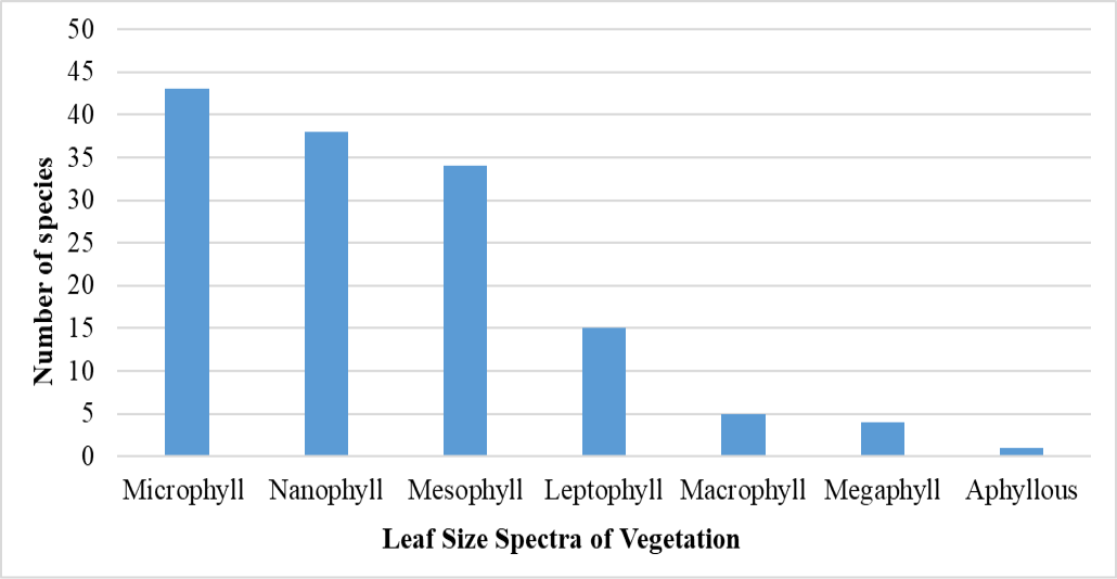 Figure 5:
