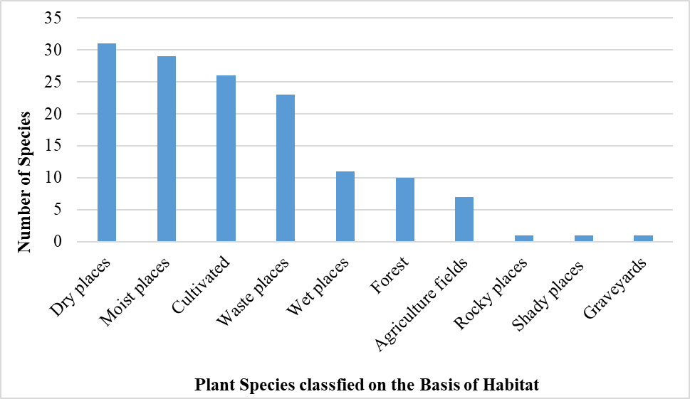 Figure 6: