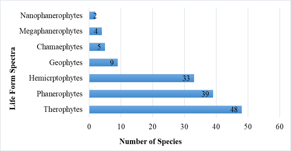 Figure 4: