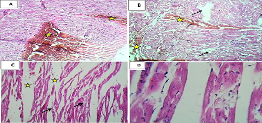 Figure 7: