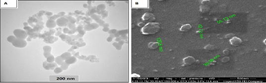 Figure 2: