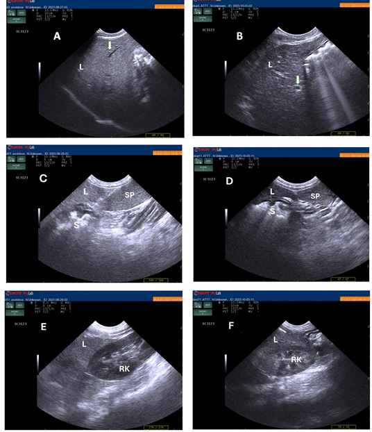 Figure 2:
