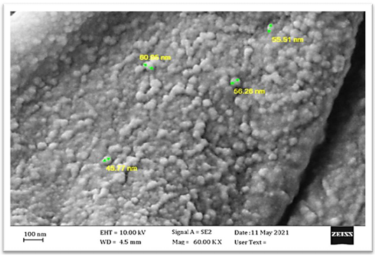 Figure 4: